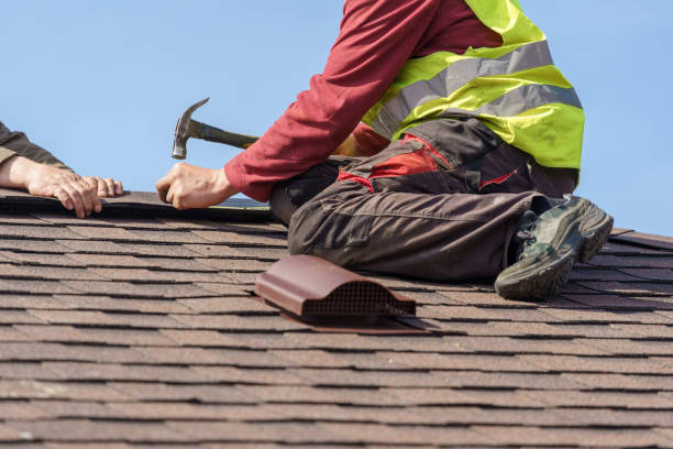 Best Roof Waterproofing Services  in Chelsea, MI