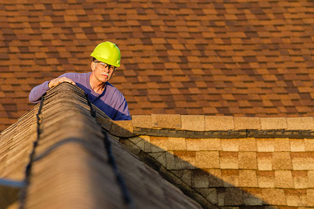 Best Residential Roofing Contractor  in Chelsea, MI